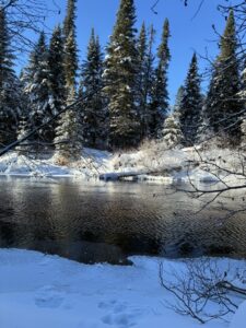 Whiskey Rapids Algonquin
